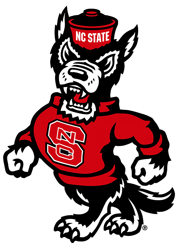 North Carolina State Wolfpack 2006-Pres Alternate Logo v9 diy DTF decal sticker